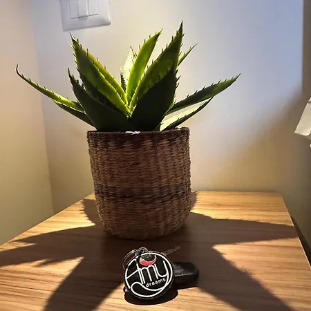 Amy Dreams オッタヴィアーノ